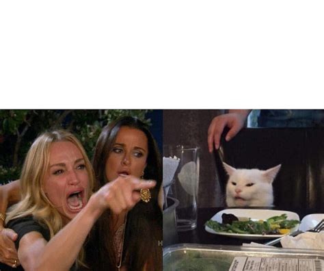 cat lady day meme|lady and cat meme blank.